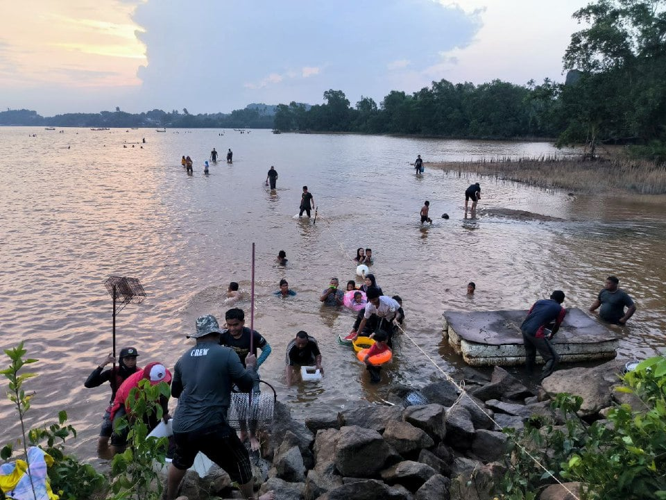 Penduduk Terengganu berpesta kaut etok di Pulau Duyong