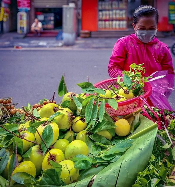 Epal emas: simbol warisan dan daya tahan