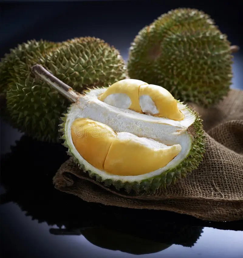 Ladang Sindiyan diiktiraf Malaysia Book of Records pengusaha Musang King terbesar negara